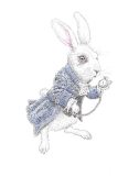 White-Rabbit-corrected