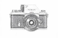 Nikon F